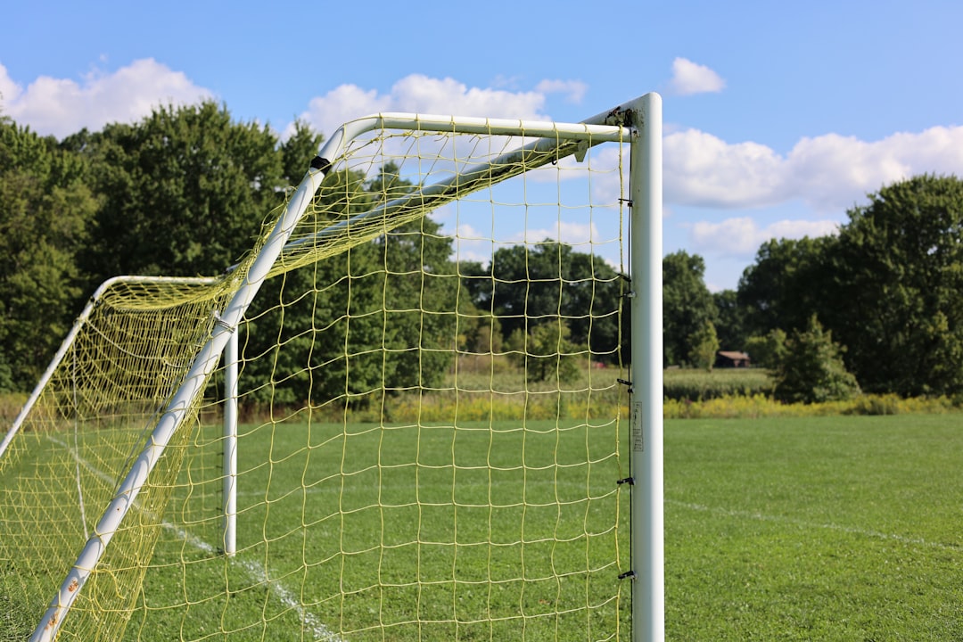 a soccer goal in a field with trees in the background goalkeeper training, reflex drills, soccer goalkeeping practice