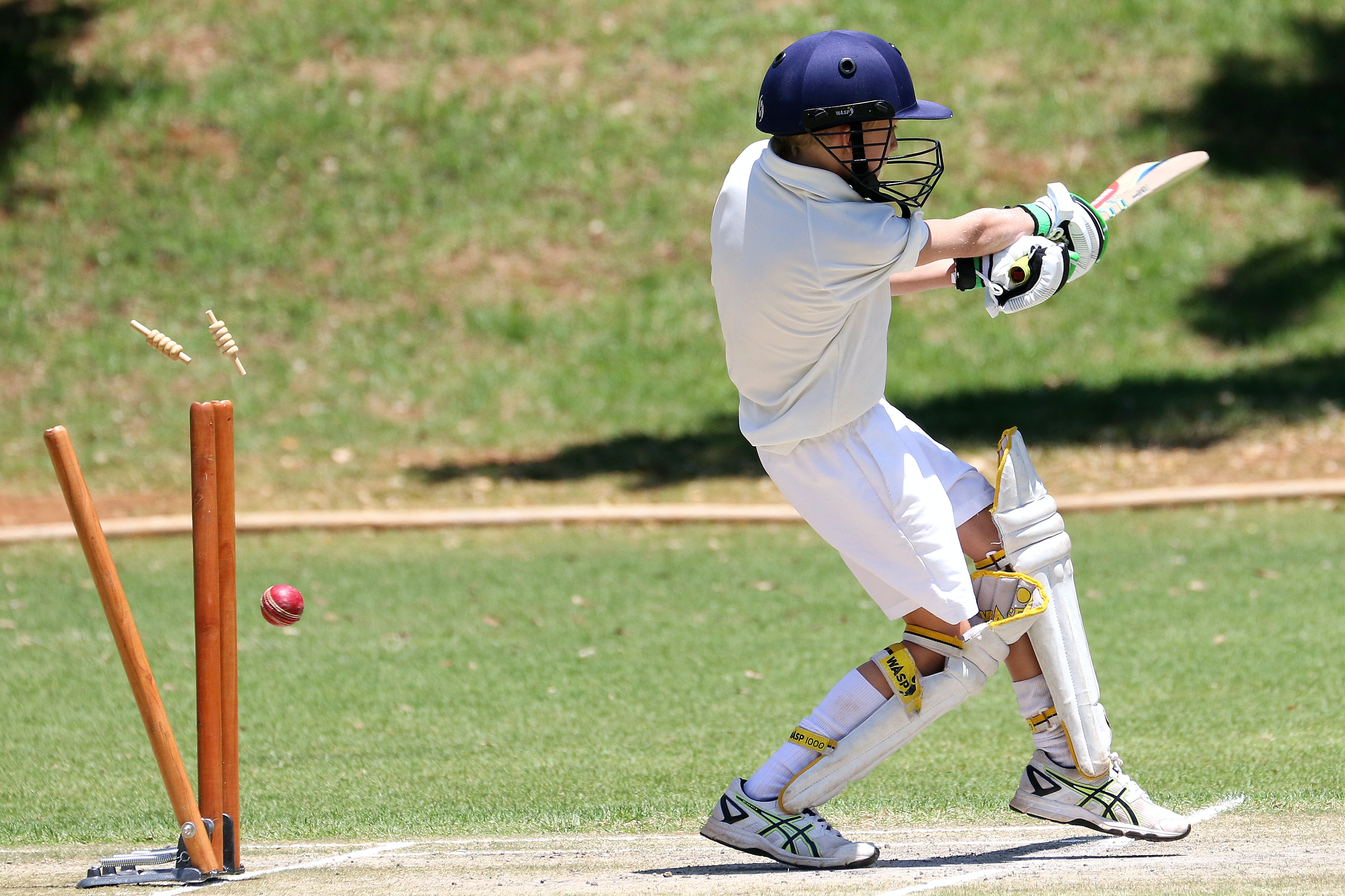 cricket world cup game