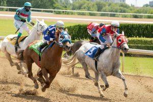 how to bet on horse racing the beginners guide to wagering on the ponies