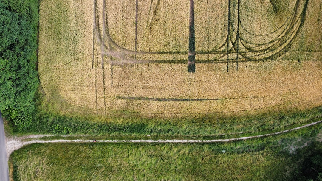 a large brick wall field painting,machine sports,grass lines