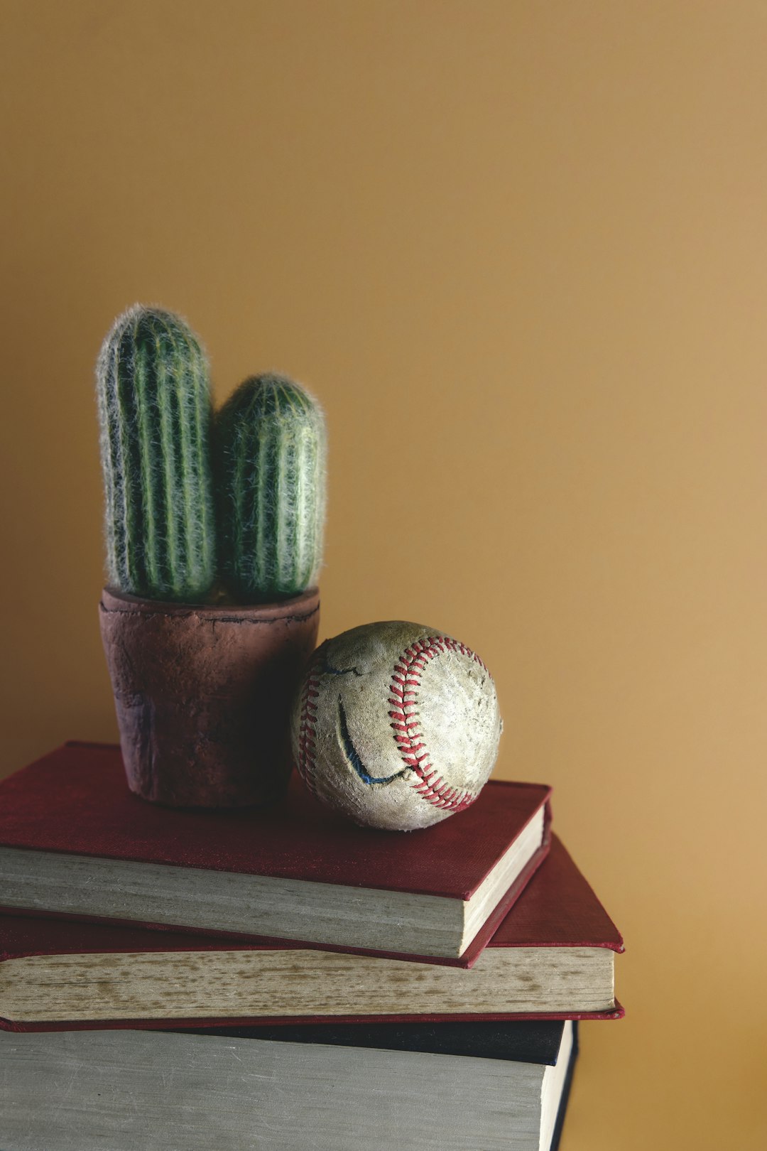 white baseball on brown wooden table baseball gloves shopping, sports store, youth baseball equipment