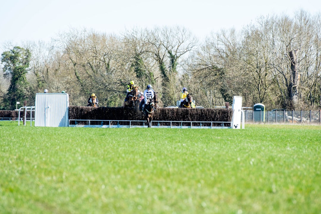 a group of people riding on the backs of horses cheltenham racecourse, cheering crowd, horse racing action