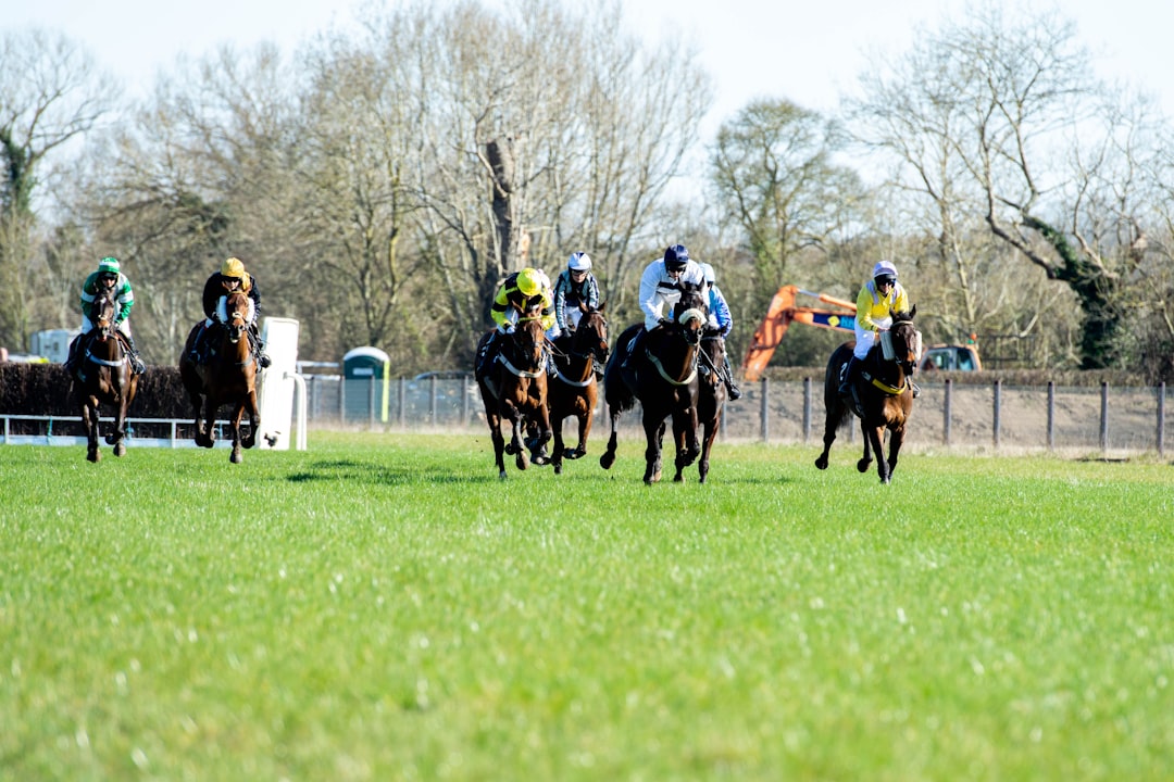 a group of people riding on the backs of horses cheltenham racecourse, cheering crowd, horse racing action