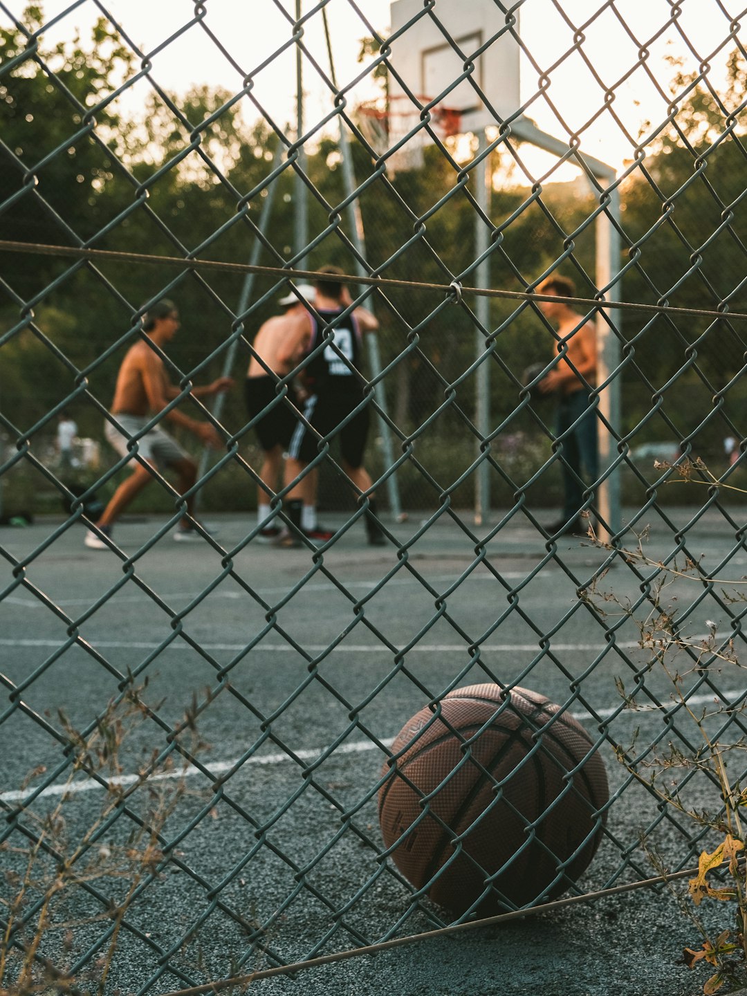 brown and black basketball hoop basketball players game shot