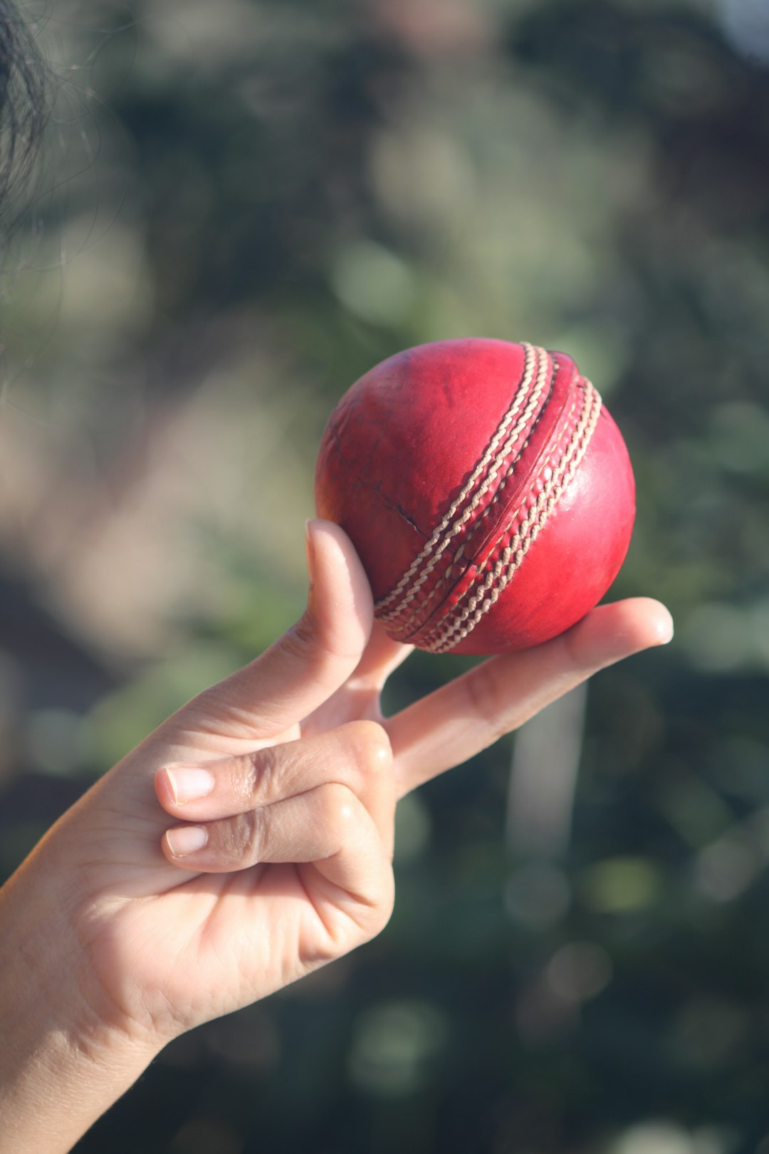 A hand holds up a red cricket ball. cricket match streaming mobile