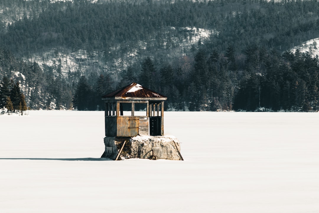 a house covered in snow slots, winner, free spins, low volatility