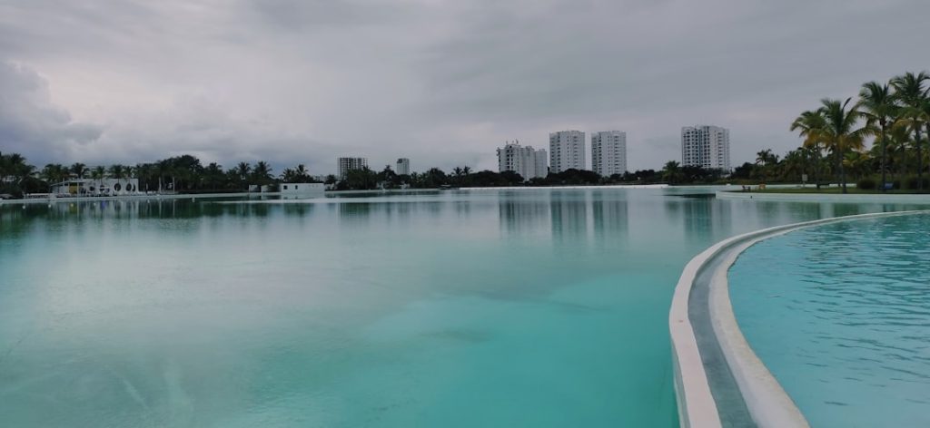 a large body of water with buildings in the background miami dolphins, chad pennington, nfl comeback