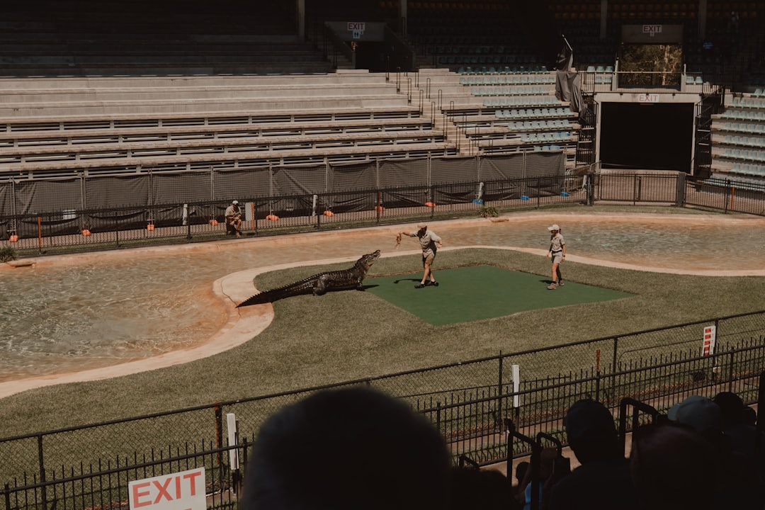 Alligator show at an amphitheater. baseball pitcher throw stadium