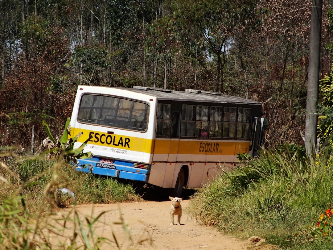 yellow and blue bus on green grass field during daytime mount annan, public transport, infrastructure upgrade