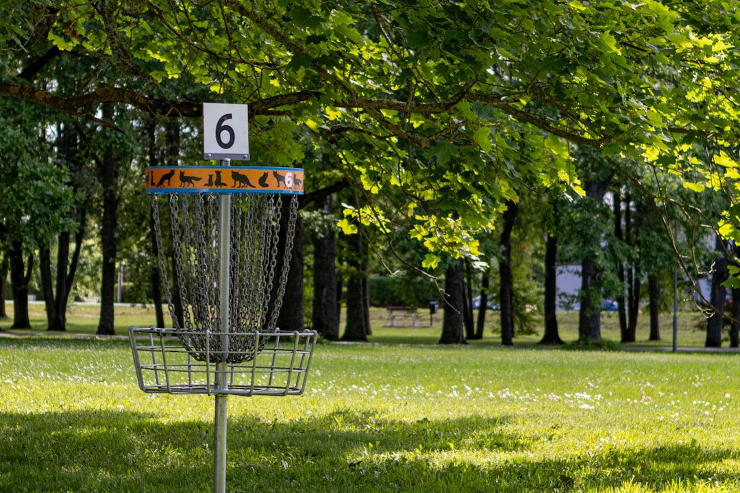 a frisbee golf cage in a park with trees in the background golf betting odds, golf scoreboard, player rankings
