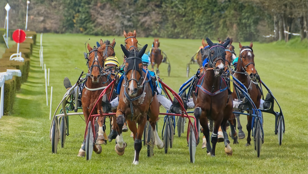 a group of people riding on the backs of horses horse racing, newmarket racecourse, jockeys