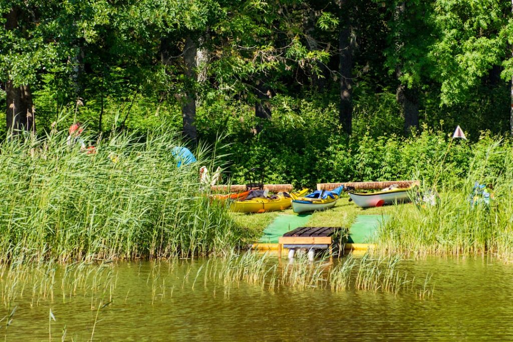 a group of kayaks sitting on top of a lake next to a forest boundary waters,canoeing,beginners,minnesota