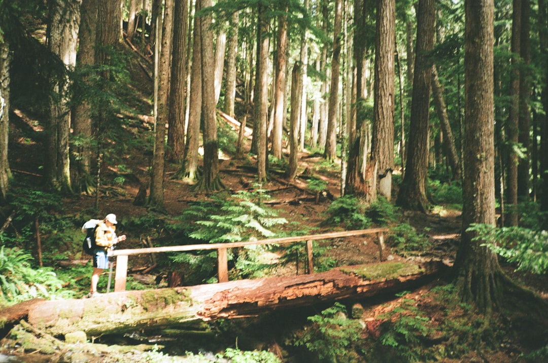 A man walking across a bridge in a forest cross country, running gear, forest trail