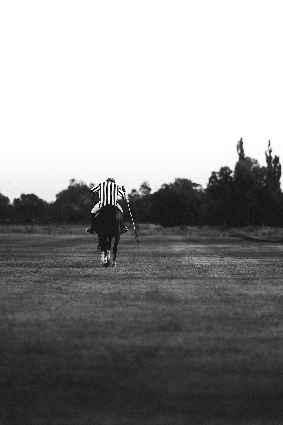 a person holding a baseball bat on a field football referee, instant replay, sideline