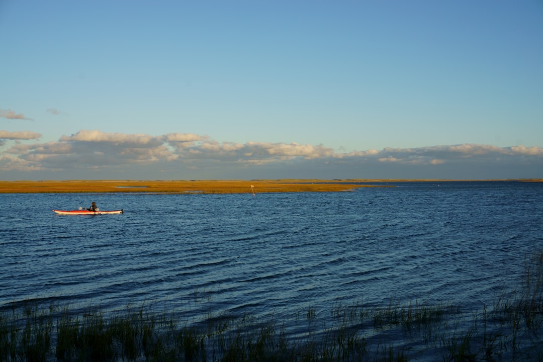 a small boat in a large body of water chesapeake bay,kayaking,birdwatching,beginners