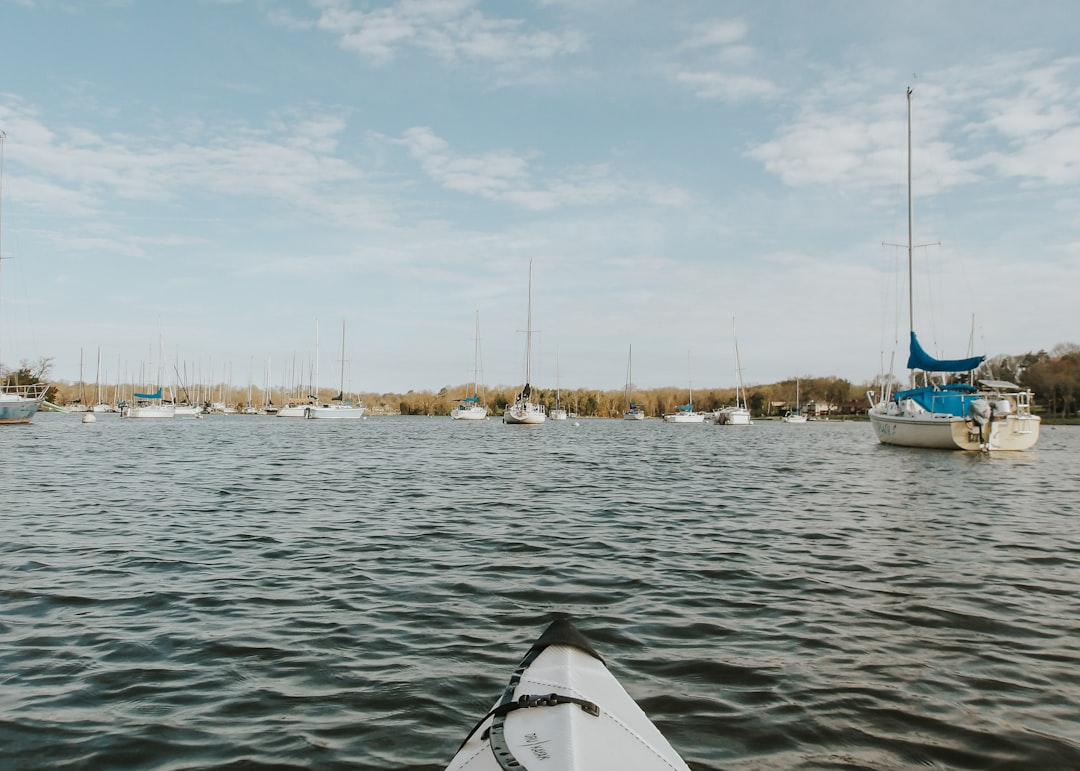 a view of a body of water from a kayak chesapeake bay,kayaking,birdwatching,beginners