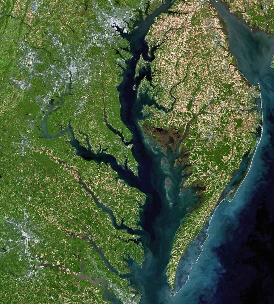 chesapeake bay,kayaking,birdwatching,beginners