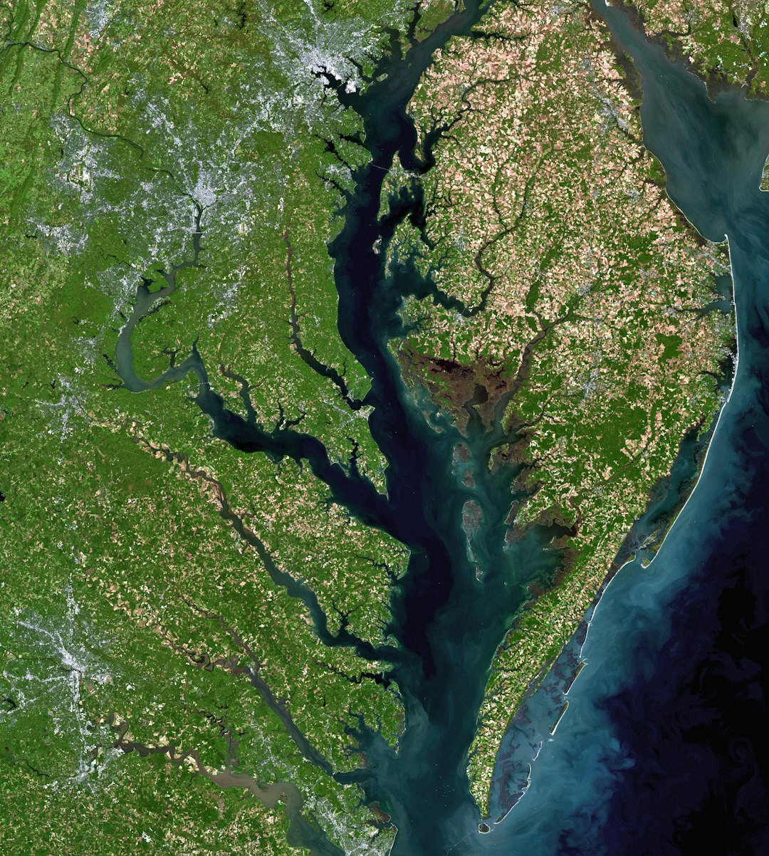 chesapeake bay,kayaking,birdwatching,beginners