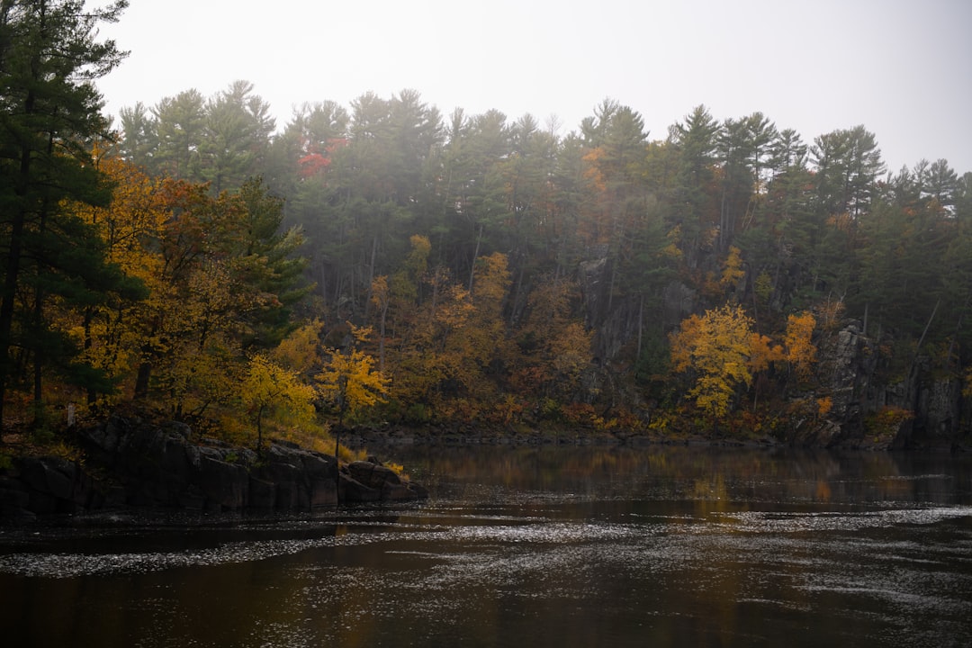 a body of water surrounded by lots of trees boundary waters,canoeing,beginners,minnesota