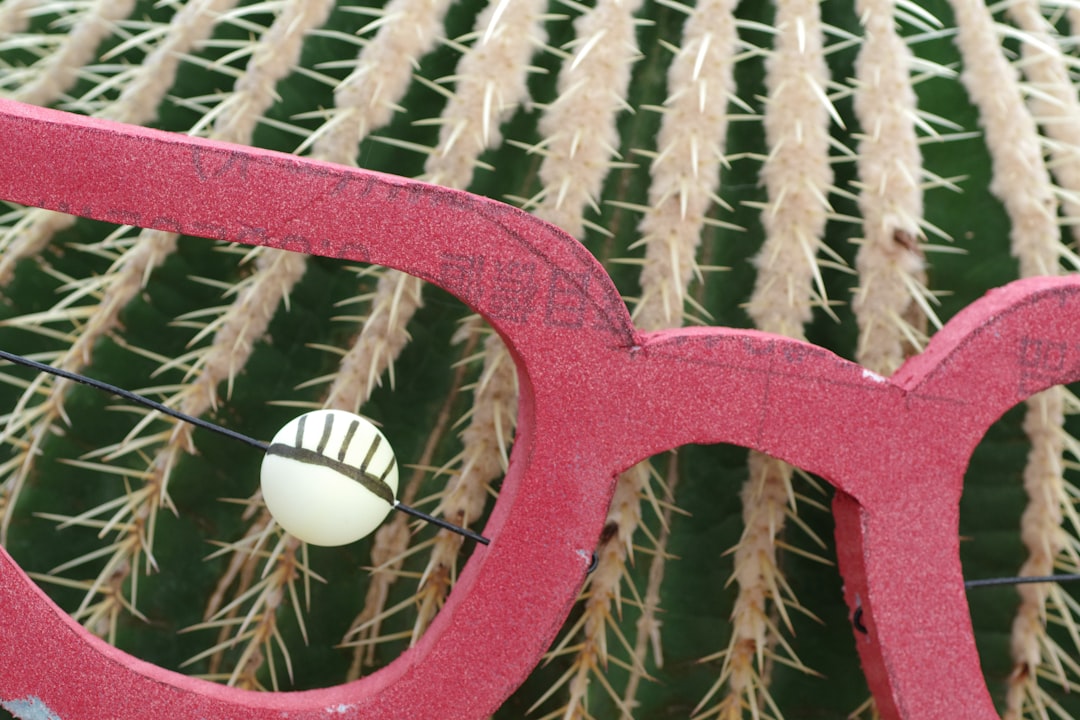 A pair of pink glasses sitting on top of a cactus outdoor court resurfacing pickleball acrylic lines