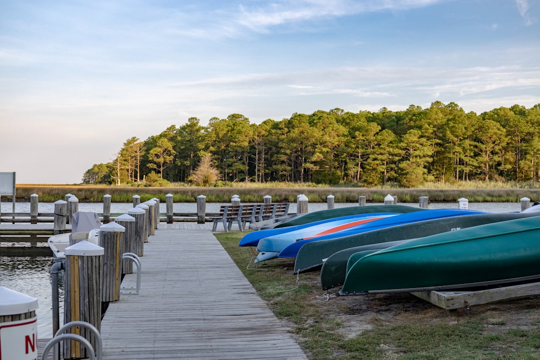 A row of boats sitting on top of a grass covered field chesapeake bay,kayaking,birdwatching,beginners