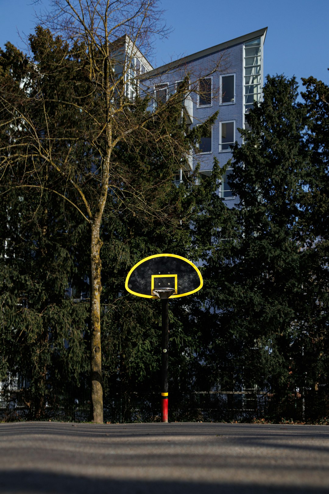 Basketball hoop sits outside a building surrounded by trees. football route tree, receiver routes, playbook diagram