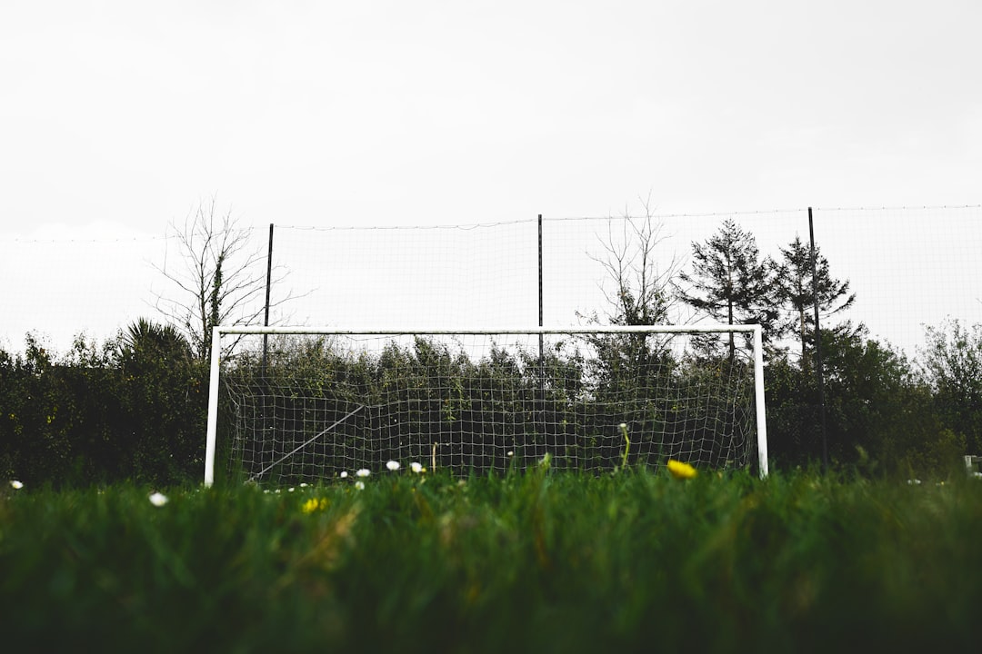 black metal fence on green grass field during daytime football field goal scoring three points