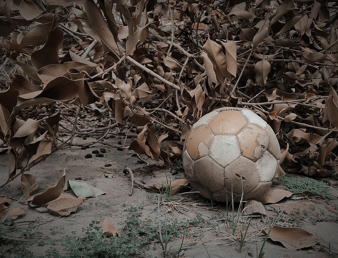 a soccer ball sitting on the ground surrounded by leaves football spiral, ball spinning, close up throw