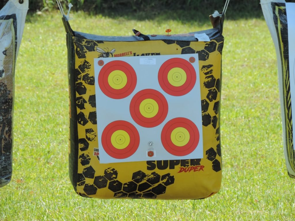 a close up of a bag on a grass field archery target, olympic archers, arrow hitting bullseye