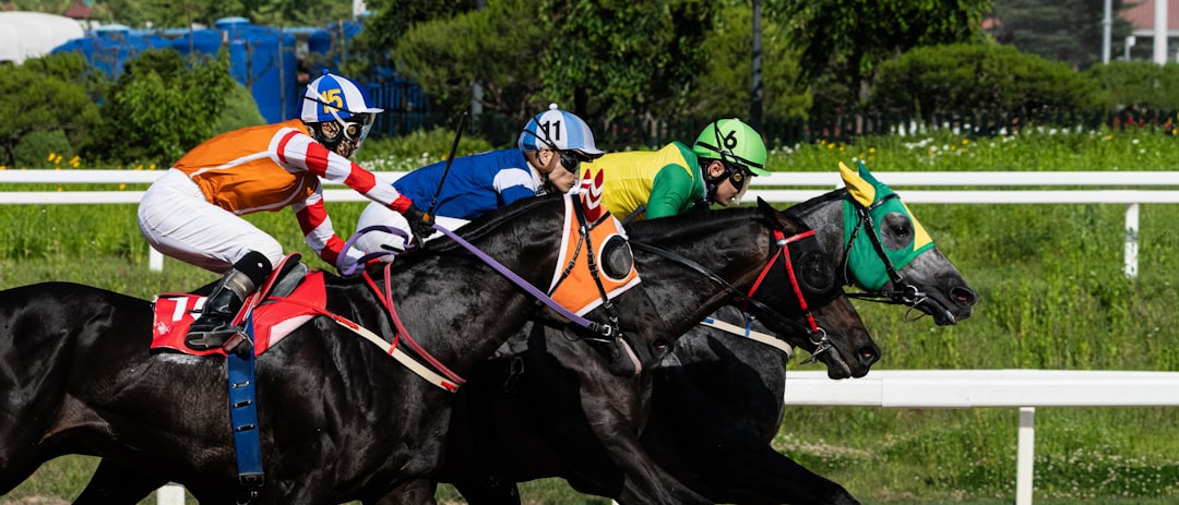Jockeys and horses race on a track. fractional odds, horse racing, betting program