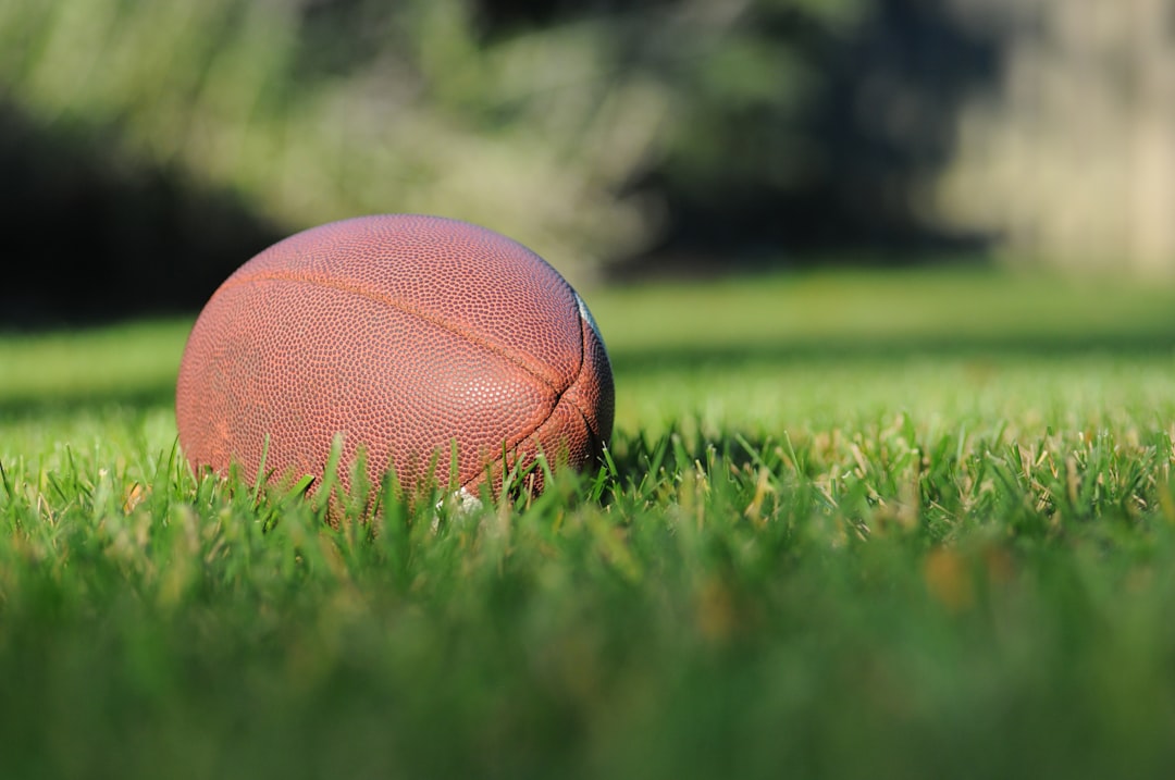 selective focus photography of brown football on grass at daytime NFL retro bowl, team management, football roster