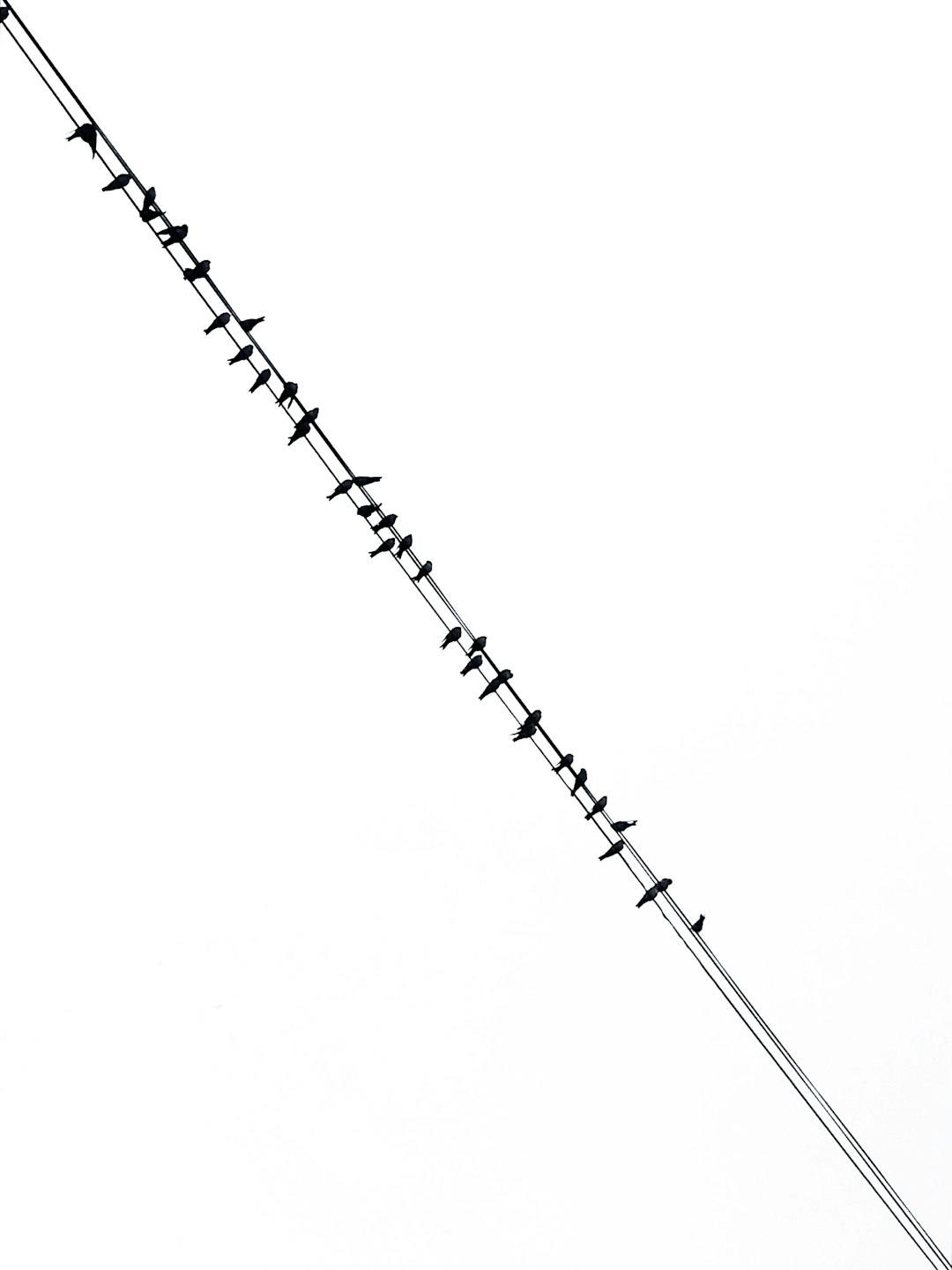 white and black line illustration archery posture, incorrect draw length, compound bow drawing