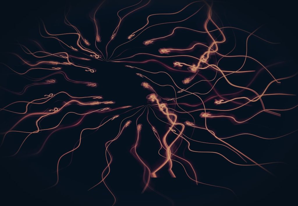 a close up of fire nervous system, brain, stress response