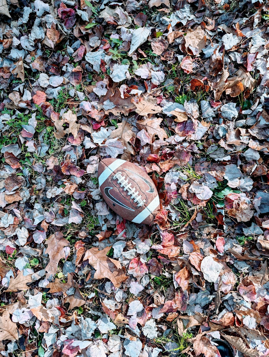 a football laying on top of a pile of leaves joe burrow, micah parsons, nfl action