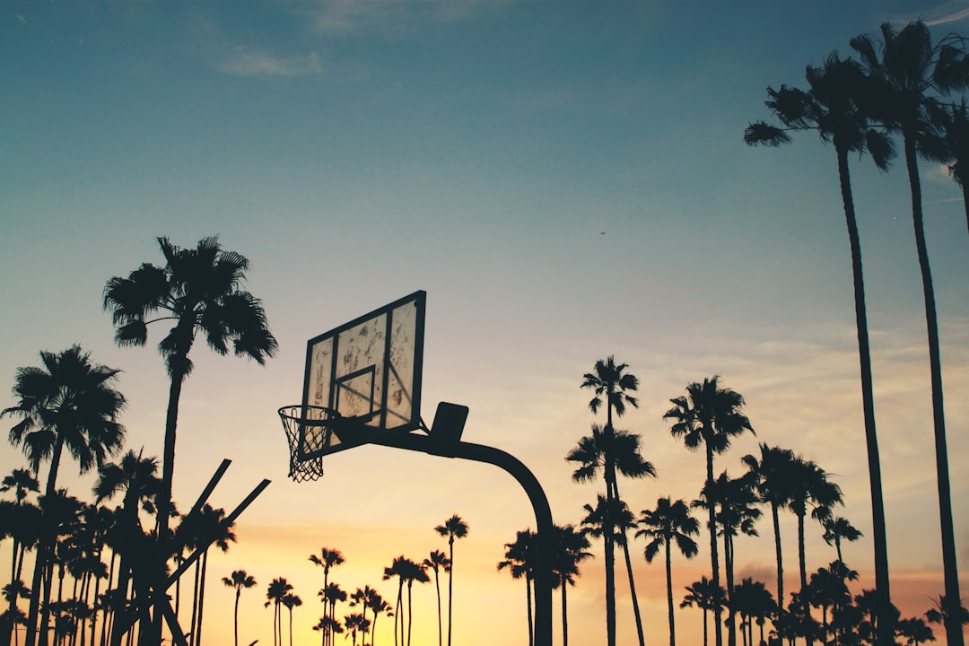 silhouette photo of basketball system Los Angeles Lakers players, NBA game night, basketball court lights