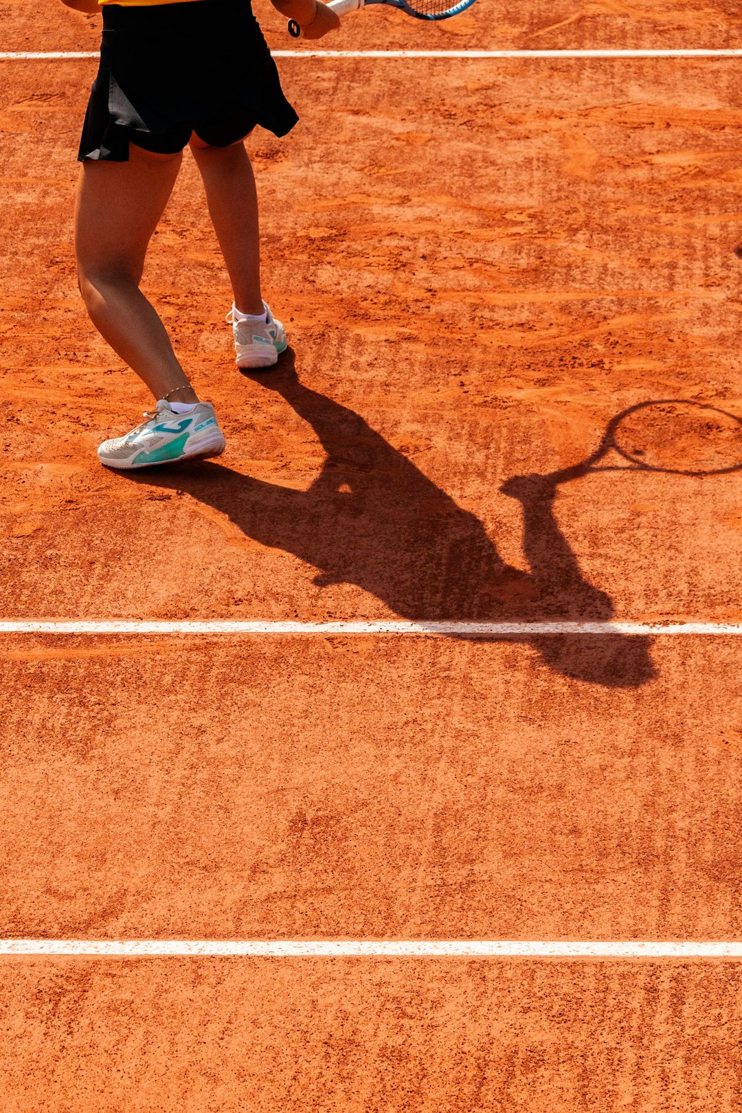 A tennis player is on the clay court. tennis semifinal match, clay court rally, passionate crowd paris