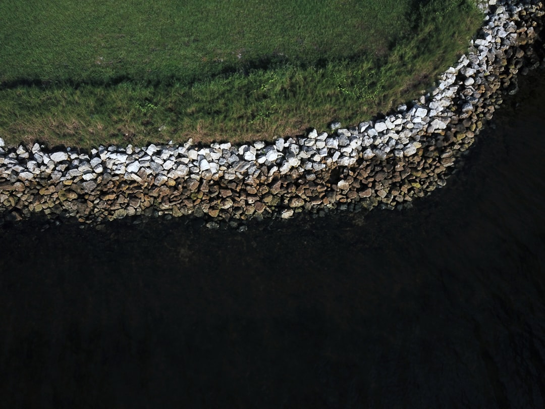 green grass field during daytime US Open golf course rough, challenging green complex, championship layout