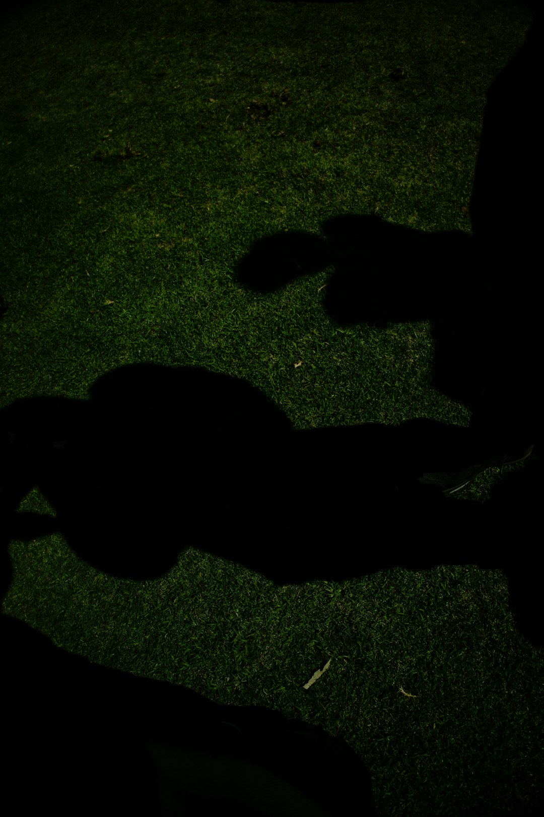 Shadows of people are cast on the green grass. football player silhouette, blurred nfl player, guessing game concept