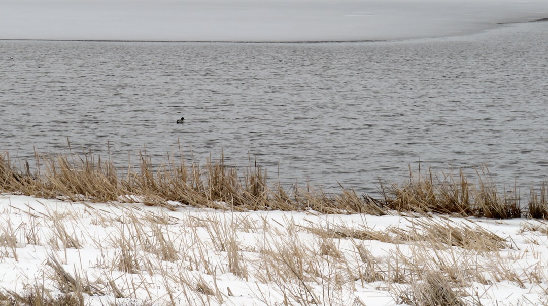 a snowy field with a body of water in the background North Dakota snowstorm, winter stadium, blowing snow, dramatic sky